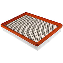 Air Filter, 8 Cyl 4.6L - 