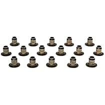 SS46073 OE Replacement Series Valve Stem Seal - Set of 16