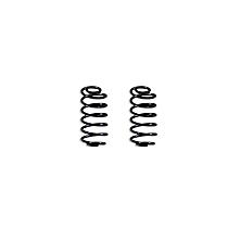 271020 Rear, Driver or Passenger Side Lowering Springs - 2 in., Set