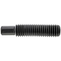 MS50205 Shock and Strut Boot - Black, Direct Fit, Sold individually
