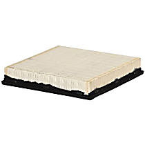 FA1061 Air Filter
