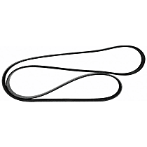 Serpentine Belt, 4 Cyl 2.5L -  - Main Drive