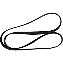 Serpentine Belt, 4 Cyl 1.6L - 