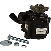 STP176RM Power Steering Pump