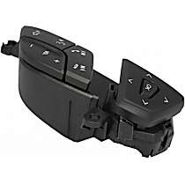 Cruise Control Switch - Passenger Side