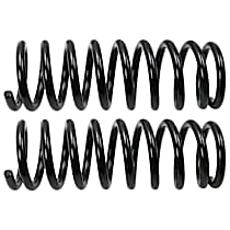 81727 Rear Coil Springs, Set of 2 Problem Solver Series