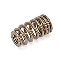 Valve Spring - Direct Fit