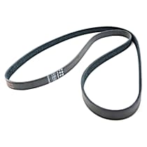 Serpentine Belt, 6 Cyl 3.6L - 