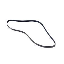 Serpentine Belt, 6 Cyl 3.6L - 