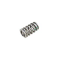 53021887AA Valve Spring - Direct Fit