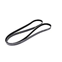 Serpentine Belt, 8 Cyl 5.7L - Accessory Drive