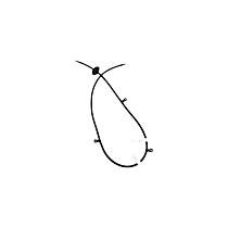 55078127AG Washer Hose - Direct Fit