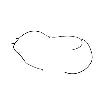 68285294AA Washer Hose - Direct Fit
