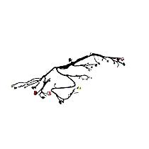 68413051AD Direct Fit Instrument Panel Wiring Harness, Sold Individually