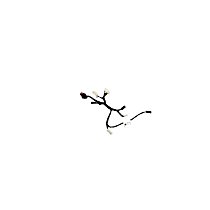 68436027AA Steering Wheel Wiring Harness