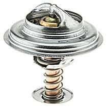 269-174 Thermostat