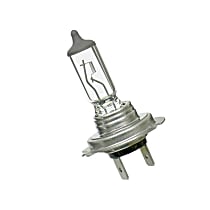 H7 Headlight Bulb, Sold individually