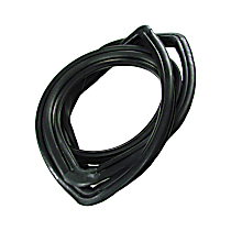 WCR D619 Front Windshield Molding