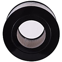 Dry Air Filter, 6 Cyl 4.5L - 