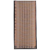 Dry Air Filter, 6 Cyl 2.5L - 
