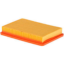 Dry Air Filter, 4 Cyl 2.0L - 