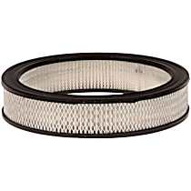 Dry Air Filter, 8 Cyl 5.0L - 