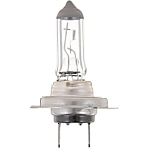 Halogen Low and High Beam H7 Bulb Type Headlight Bulb, Sold individually