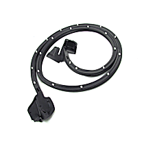 DWR 1710 69 Front, Passenger Side Door Molding and Beltlines