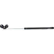 Driver or Passenger Side Lift Support