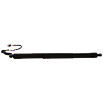 Driver or Passenger Side Liftgate, Lift Support