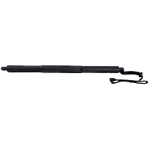 Driver or Passenger Side Liftgate, Lift Support, 4-Door, Sport Utility, Body Code 8U, Power Lift