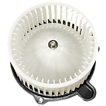 Blower Motor