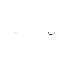 Oil Cooler Line