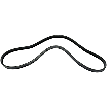 Accessory Drive Belt - Direct Fit, Sold individually