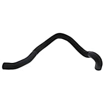 Radiator Hose Lower