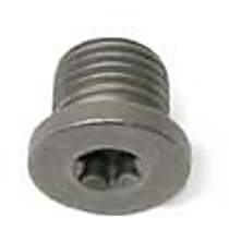 Engine Oil Drain Plug - Rein N91167901