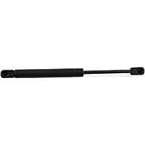 Driver or Passenger Side Liftgate Lift Support