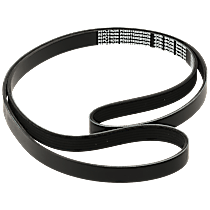 Main Drive Serpentine belt