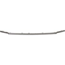 Grille Trim, Center, Chrome