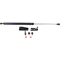 Driver Side Liftgate Lift Support
