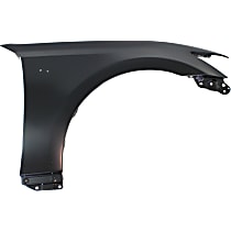 Front, Passenger Side Fender, With F Sport Package