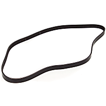 Drive Belt - Serpentine belt