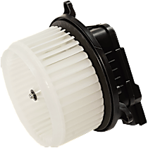 Blower Motor