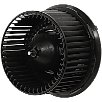 Blower Motor