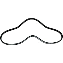 Water Pump Serpentine belt, 6 Cyl 2.5L - Water Pump