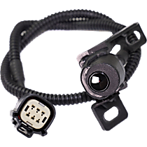Back Up Camera, Full-Color Display