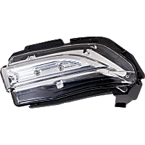 Passenger Side Mirror Turn Signal Light