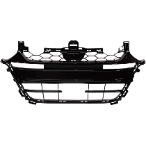 Grille Assembly, Painted Black, Grille