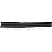 Front, Driver Side, Lower Door Molding and Beltlines, Black