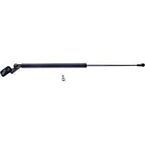 Passenger Side Liftgate Lift Support, Gas Charged